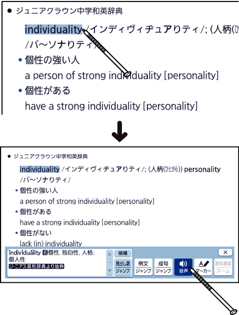 Listen_To_The_Voice 004 SA2900